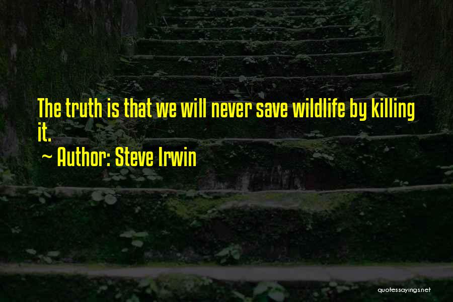 Steve Irwin Quotes 495182