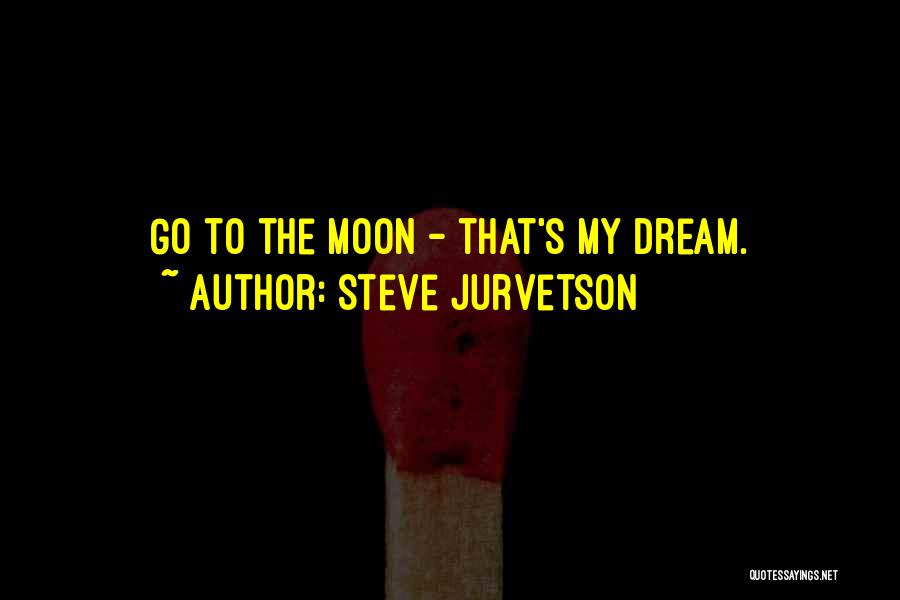 Steve Jurvetson Quotes 2173339