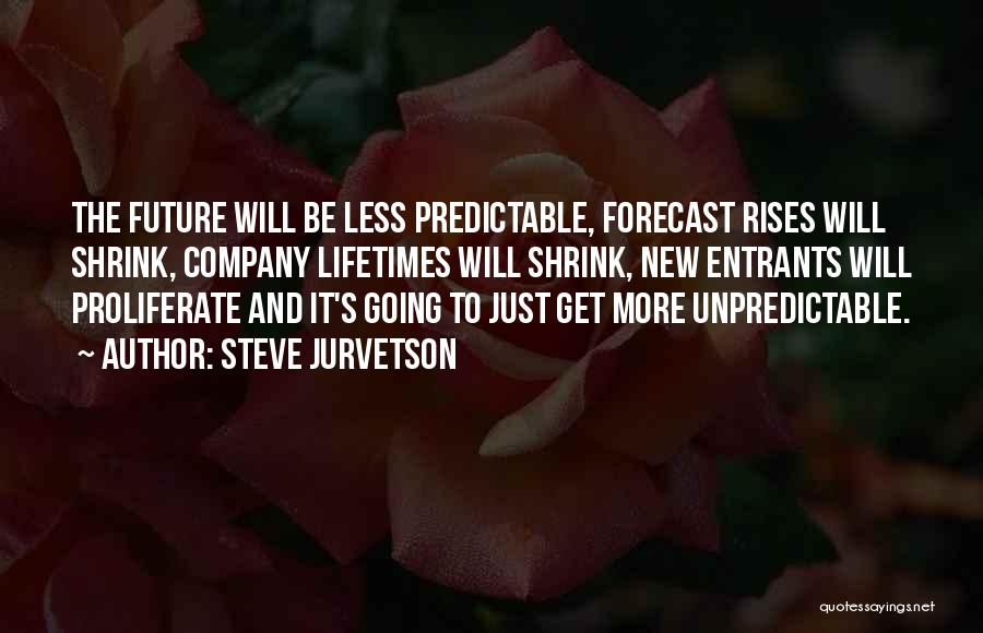 Steve Jurvetson Quotes 82412