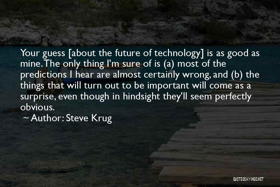 Steve Krug Quotes 395006