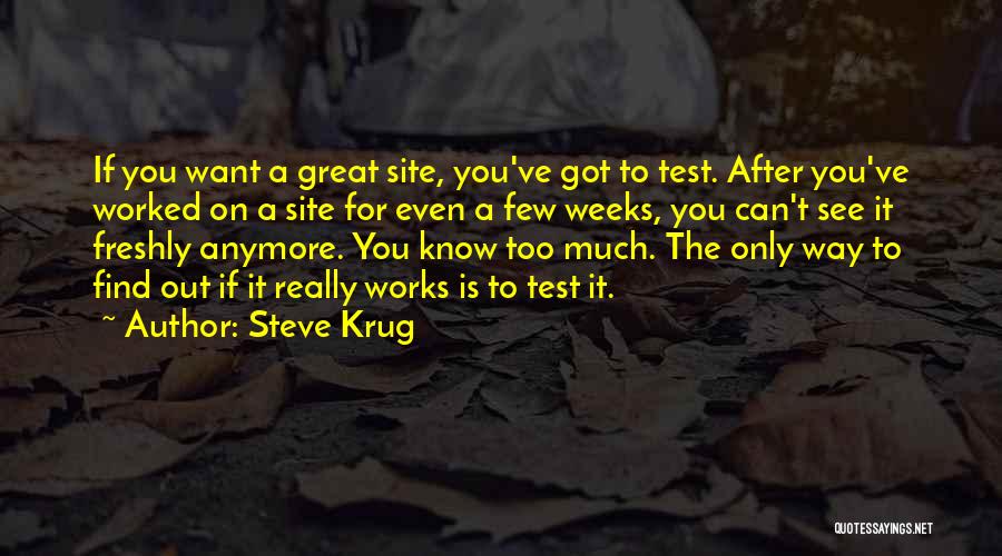 Steve Krug Quotes 735001