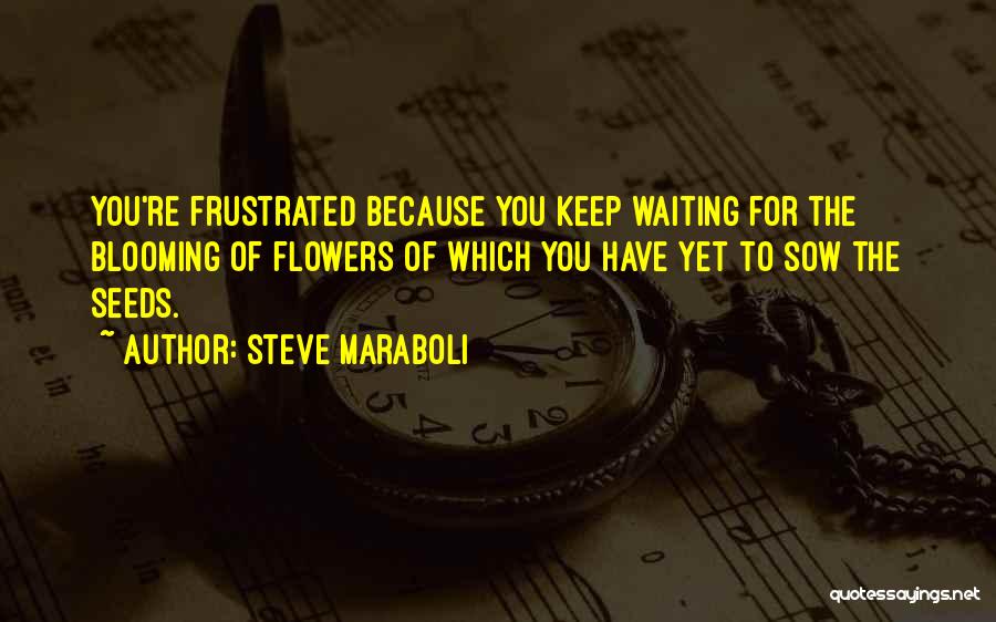 Steve Maraboli Quotes 1275462