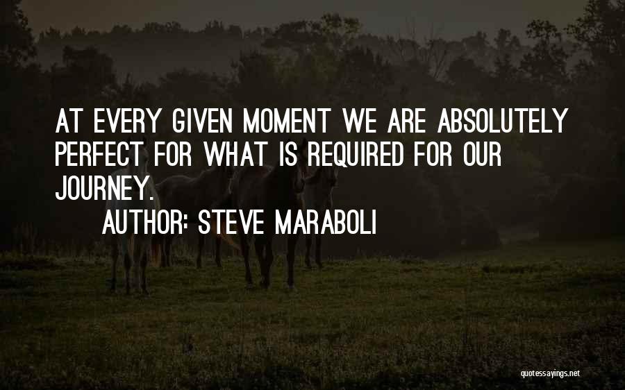 Steve Maraboli Quotes 1804293