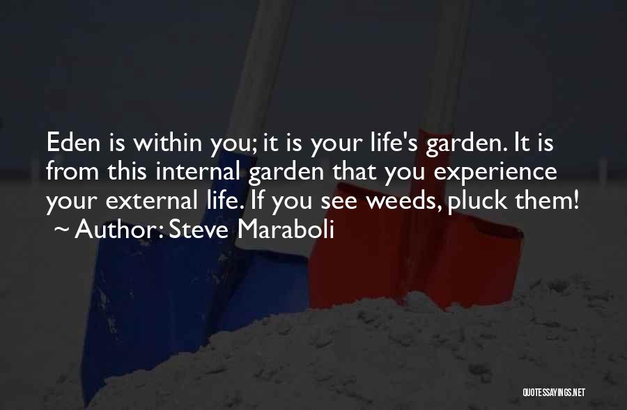 Steve Maraboli Quotes 551183