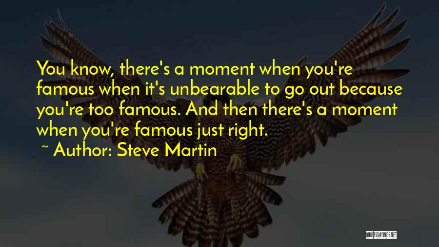 Steve Martin Quotes 802165