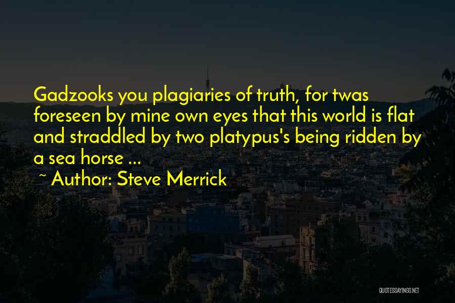 Steve Merrick Quotes 1917569