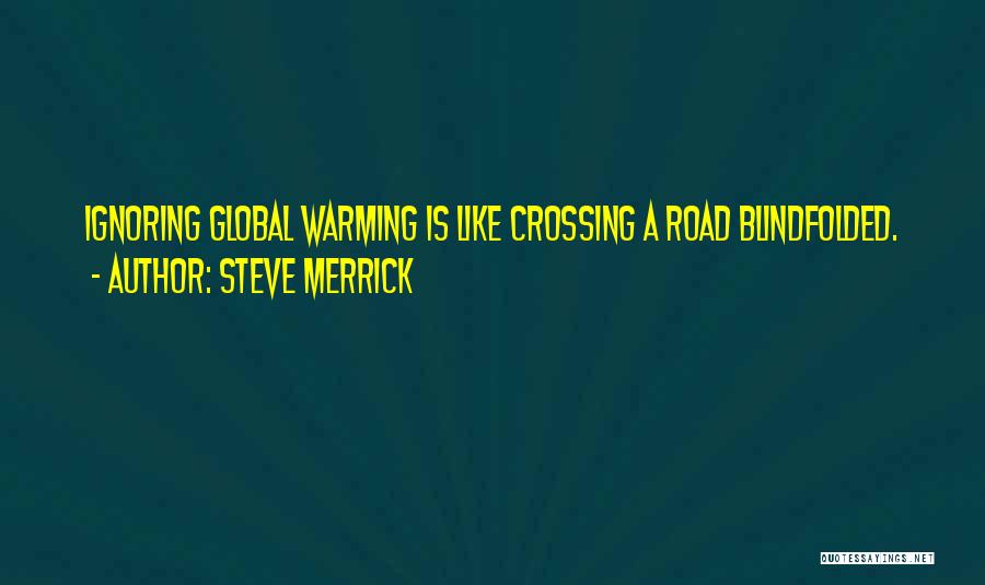 Steve Merrick Quotes 296545