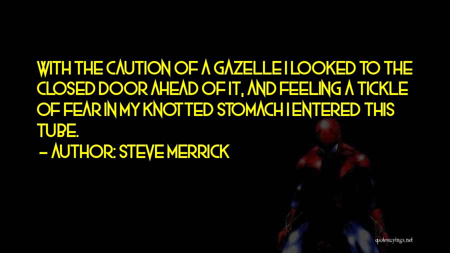 Steve Merrick Quotes 519657