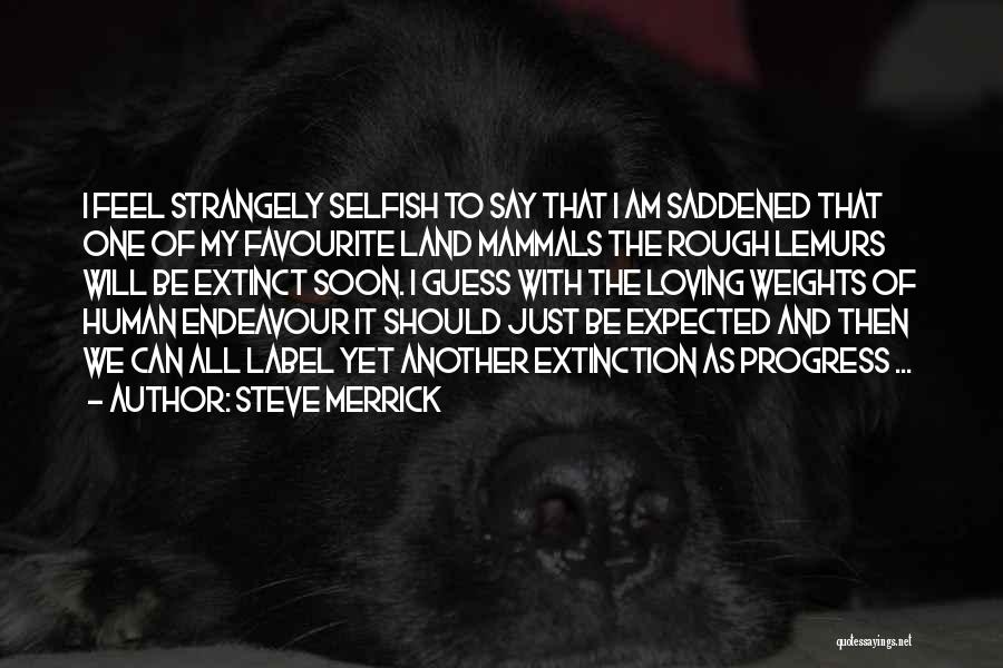 Steve Merrick Quotes 564444