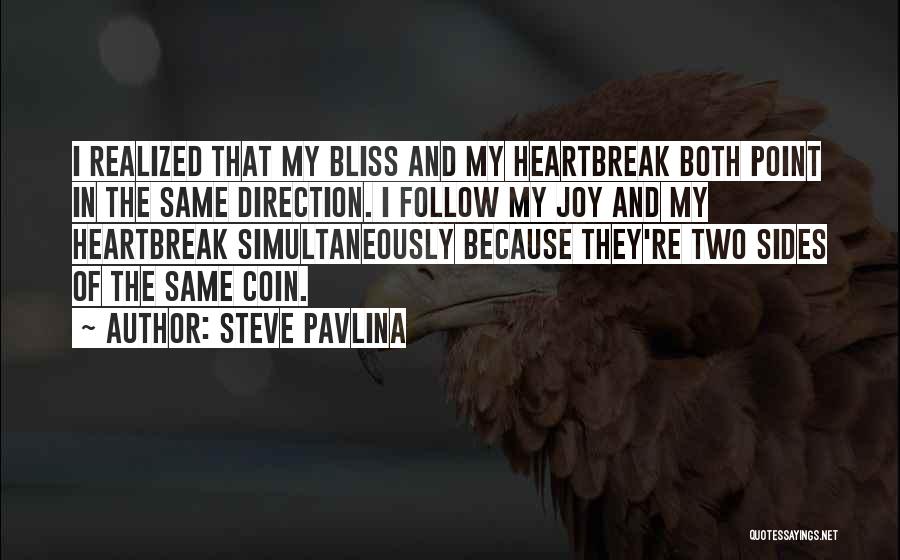 Steve Pavlina Quotes 1039333