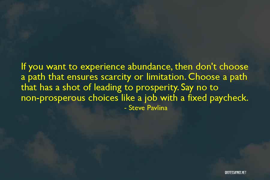 Steve Pavlina Quotes 1062940