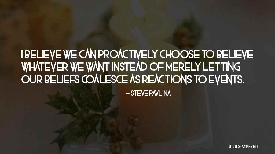 Steve Pavlina Quotes 1140789