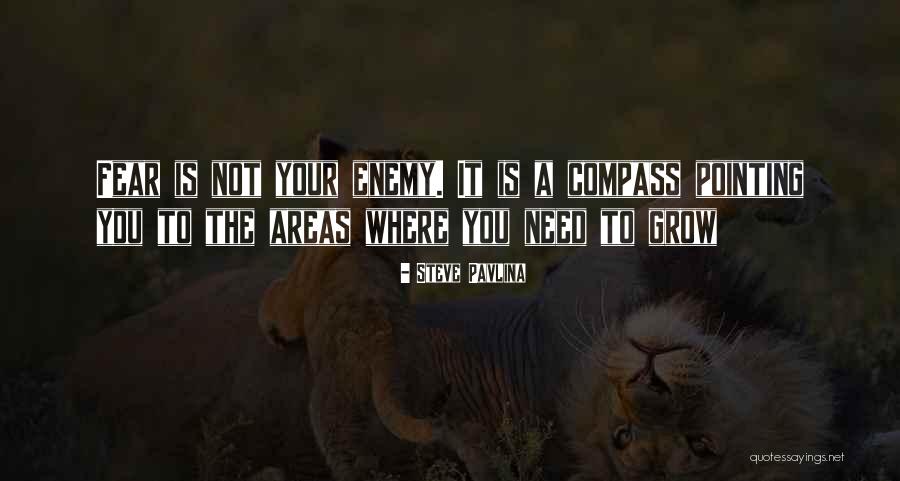 Steve Pavlina Quotes 1475765 Steve Pavlina Quotes 1475765