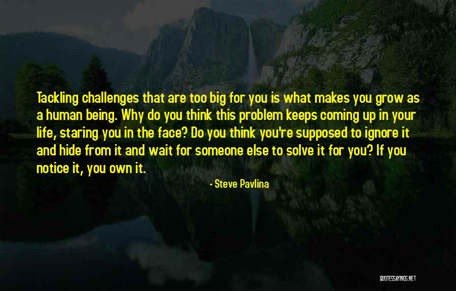 Steve Pavlina Quotes 1699018