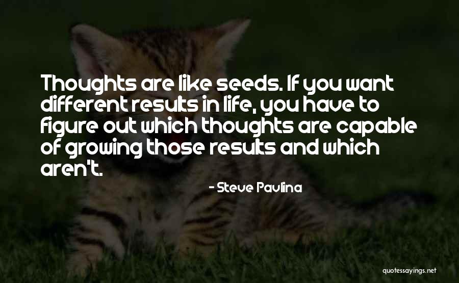 Steve Pavlina Quotes 1821189 Steve Pavlina Quotes 1821189