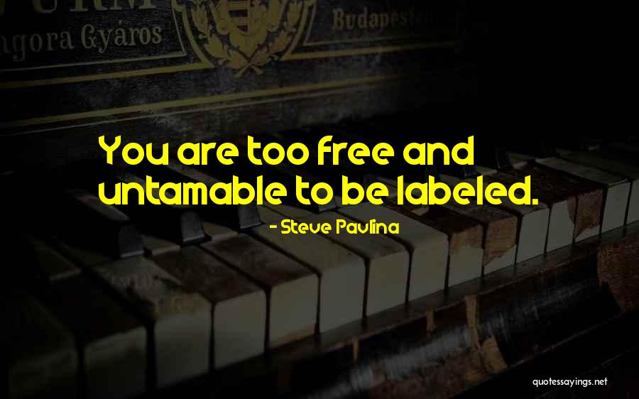 Steve Pavlina Quotes 281106 Steve Pavlina Quotes 281106