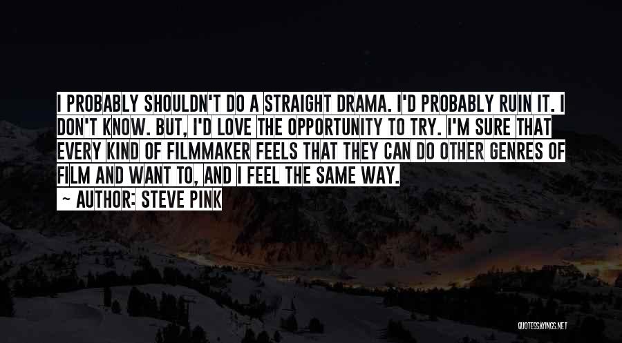 Steve Pink Quotes 1375100