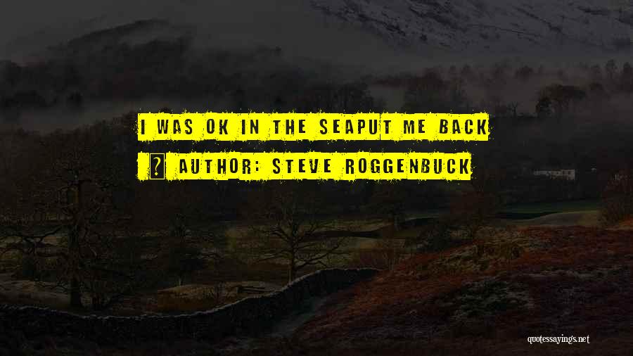 Steve Roggenbuck Quotes 1331059