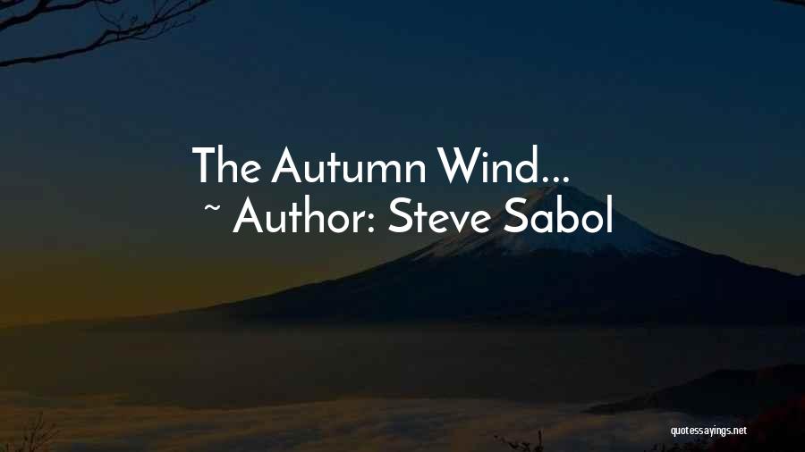 Steve Sabol Quotes 845813
