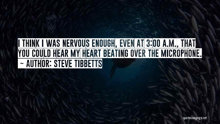 Steve Tibbetts Quotes 1473676