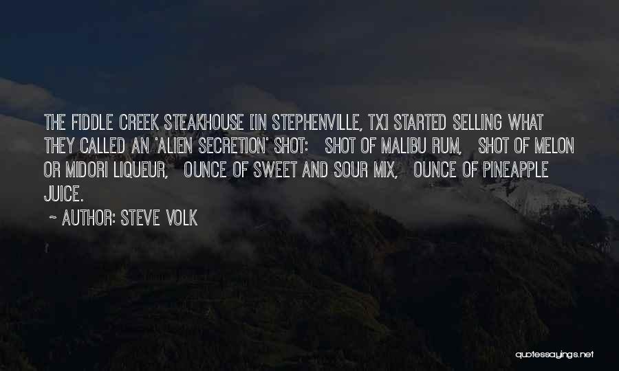 Steve Volk Quotes 100445