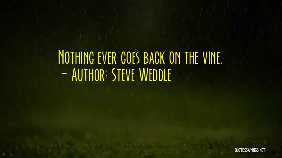 Steve Weddle Quotes 552393