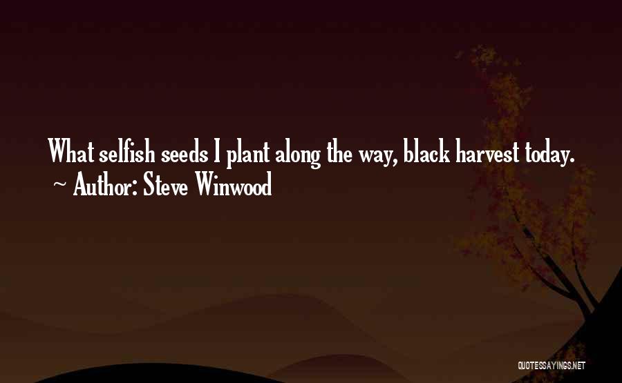 Steve Winwood Quotes 952101