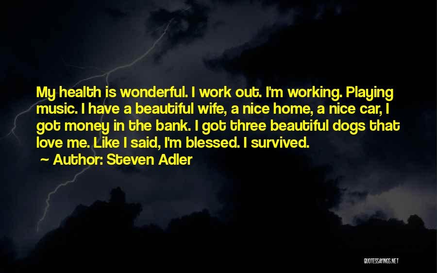 Steven Adler Quotes 142946