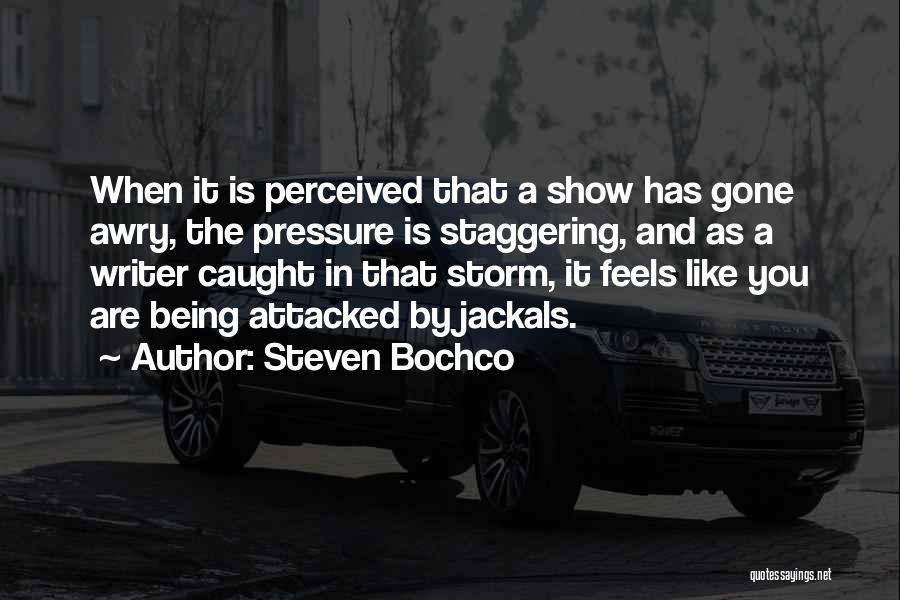 Steven Bochco Quotes 2220471