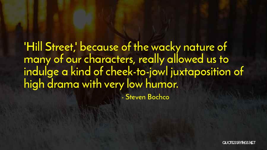 Steven Bochco Quotes 419150