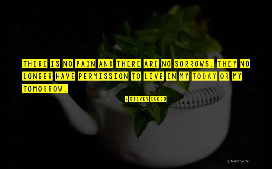 Steven Cuoco Quotes 238284 Steven Cuoco Quotes 238284