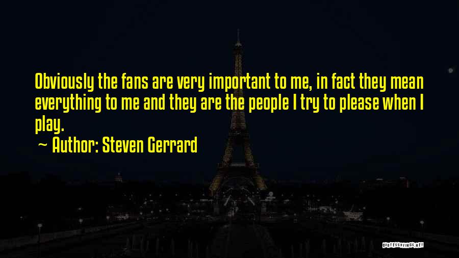 Steven Gerrard Quotes 790240