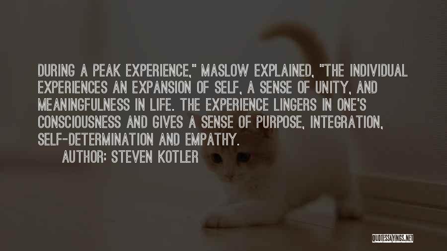 Steven Kotler Quotes 903761