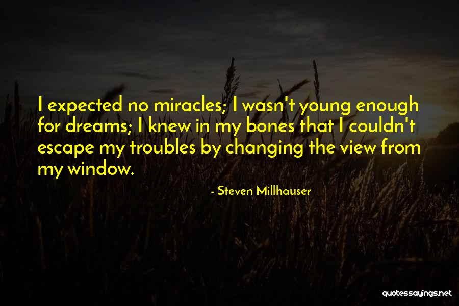 Steven Millhauser Quotes 152091