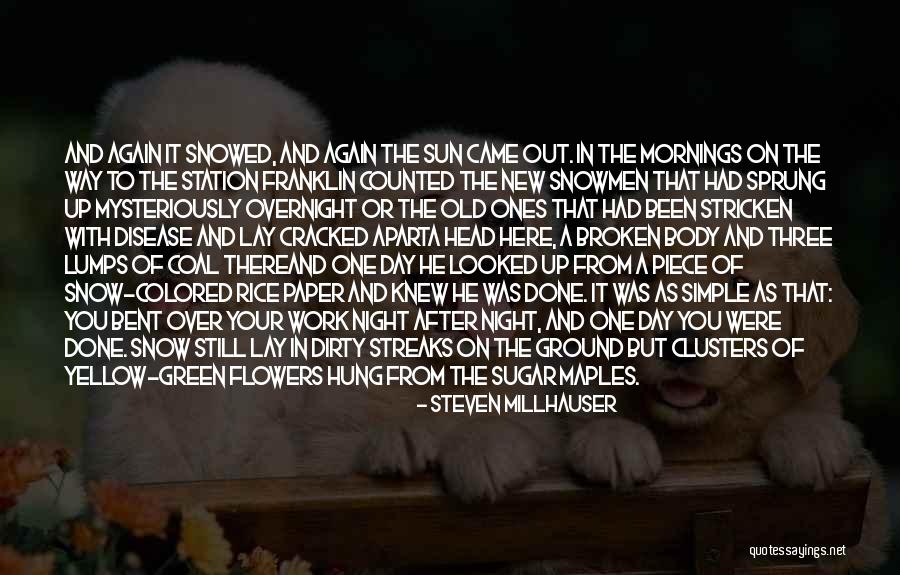 Steven Millhauser Quotes 1764384 Steven Millhauser Quotes 1764384