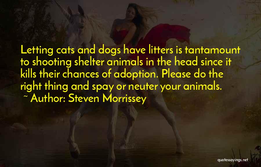 Steven Morrissey Quotes 725659