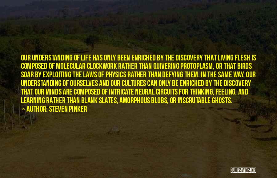 Steven Pinker Quotes 1452202