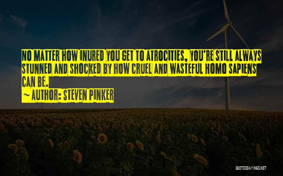 Steven Pinker Quotes 615144