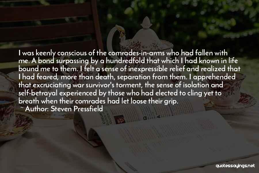Steven Pressfield Quotes 1055771
