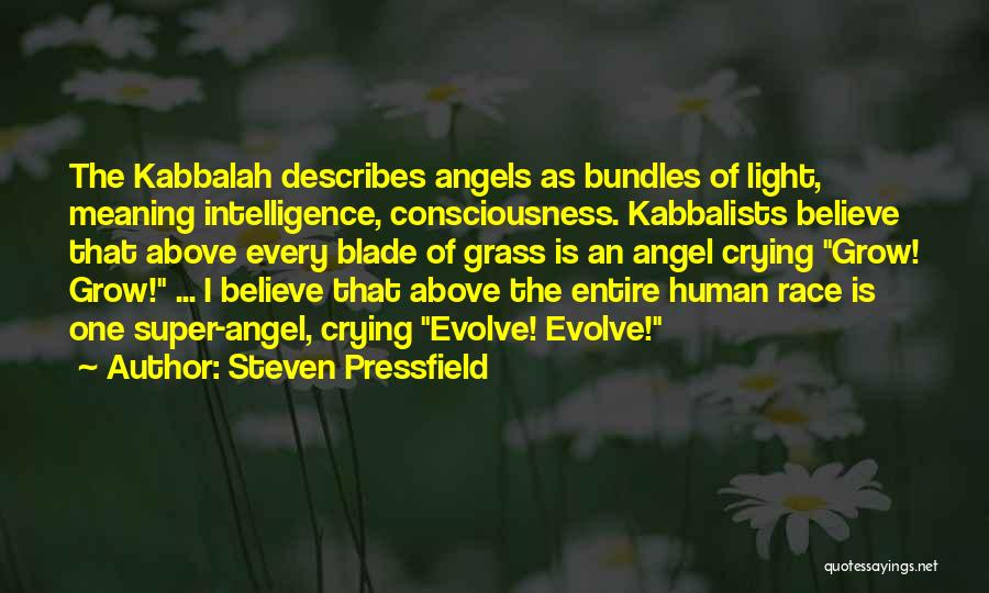 Steven Pressfield Quotes 2268948