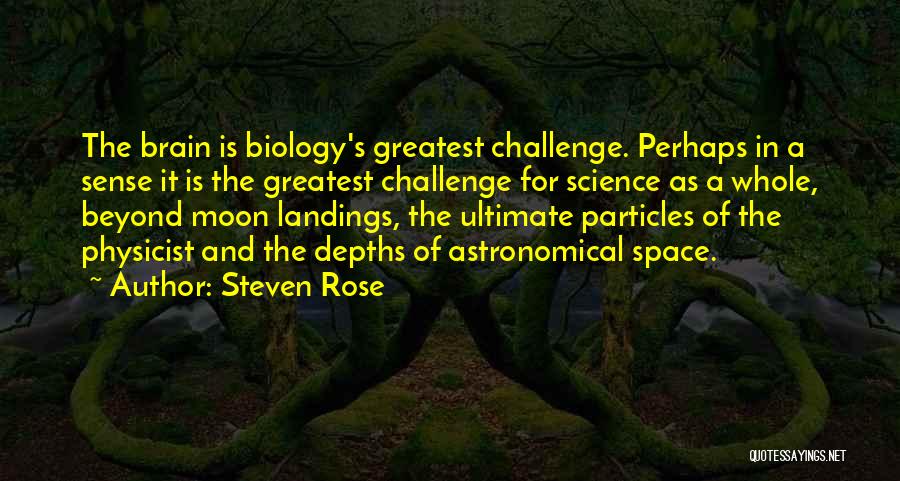 Steven Rose Quotes 352071