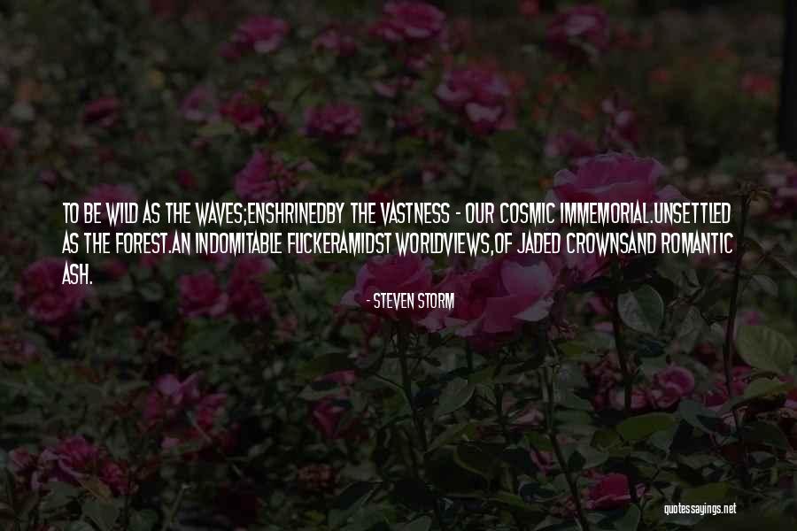Steven Storm Quotes 682301 Steven Storm Quotes 682301
