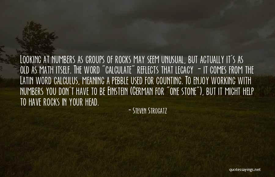 Steven Strogatz Quotes 351142