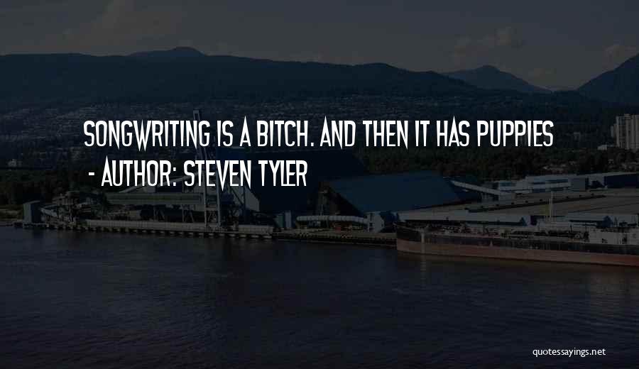 Steven Tyler Quotes 1357732