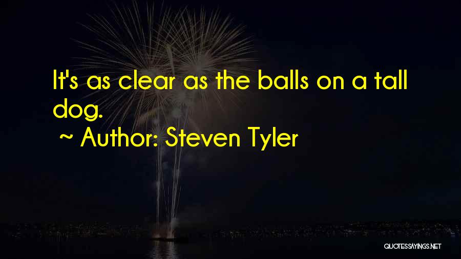 Steven Tyler Quotes 1851391