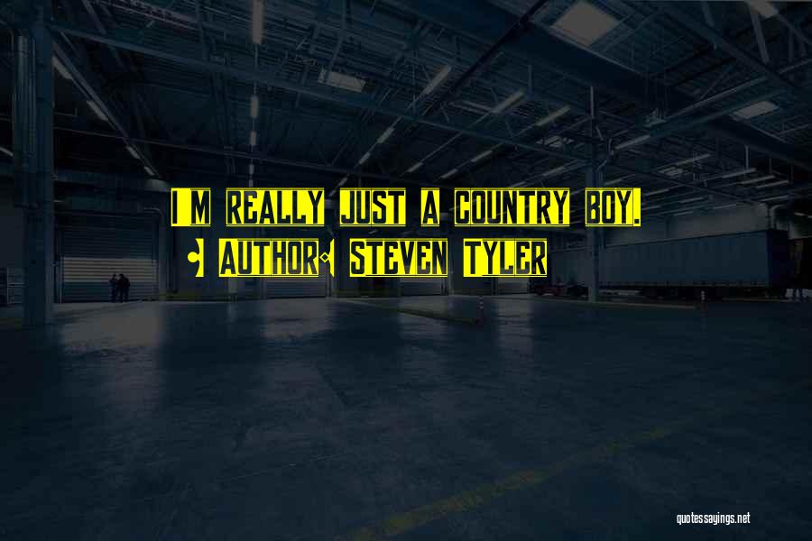 Steven Tyler Quotes 478829