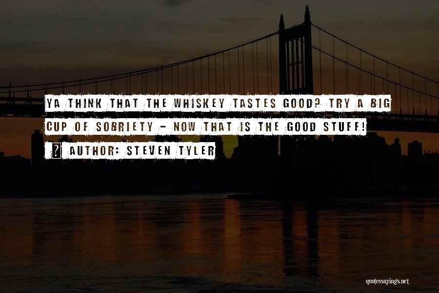 Steven Tyler Quotes 794266