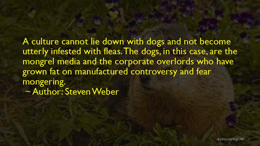 Steven Weber Quotes 527425