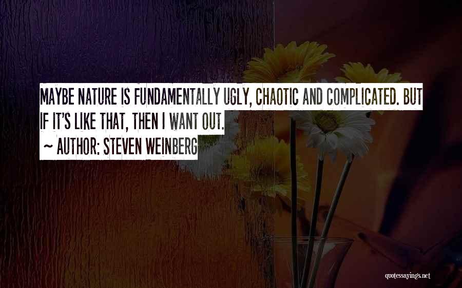 Steven Weinberg Quotes 1081021