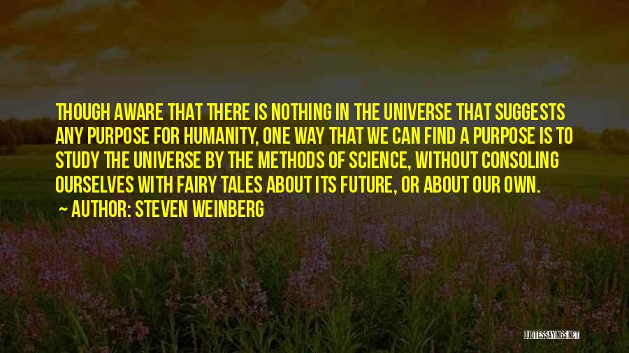 Steven Weinberg Quotes 1455954